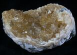 Crystal Filled Clam Fossil - Rucks Pit #5784-1
